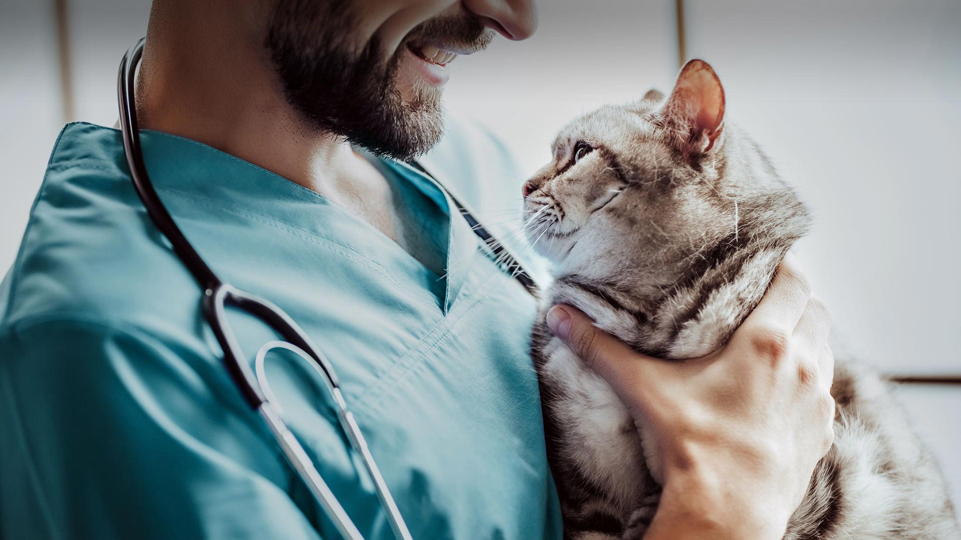 Marmaraereğlisi Veteriner